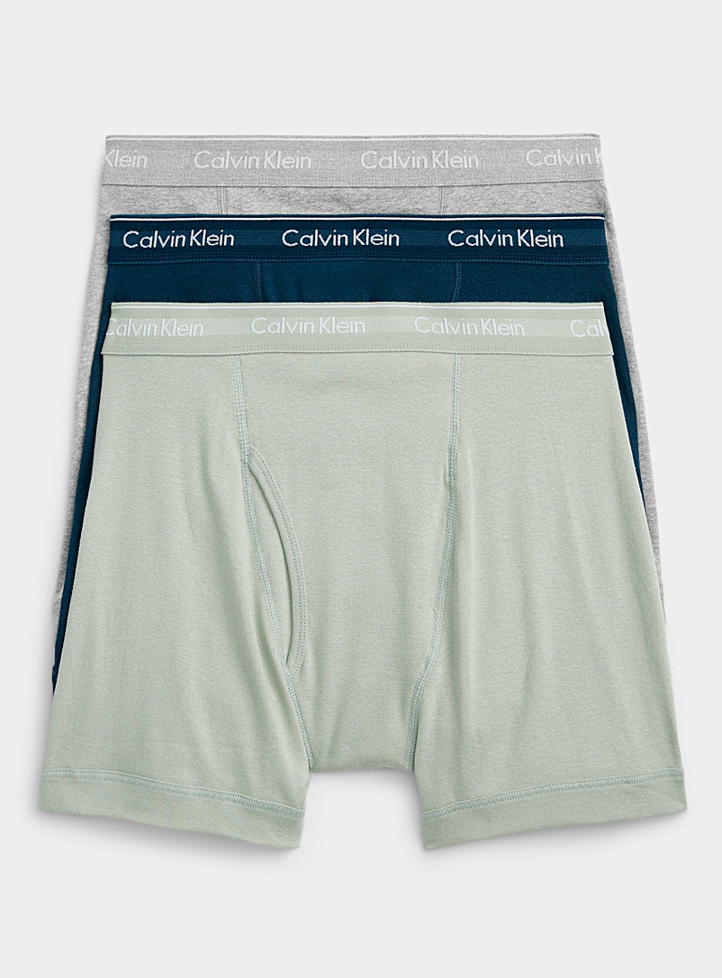 Calvin Klein: Les boxeurs longs pur coton unis Emballage de 3 Gris à motifs pour homme