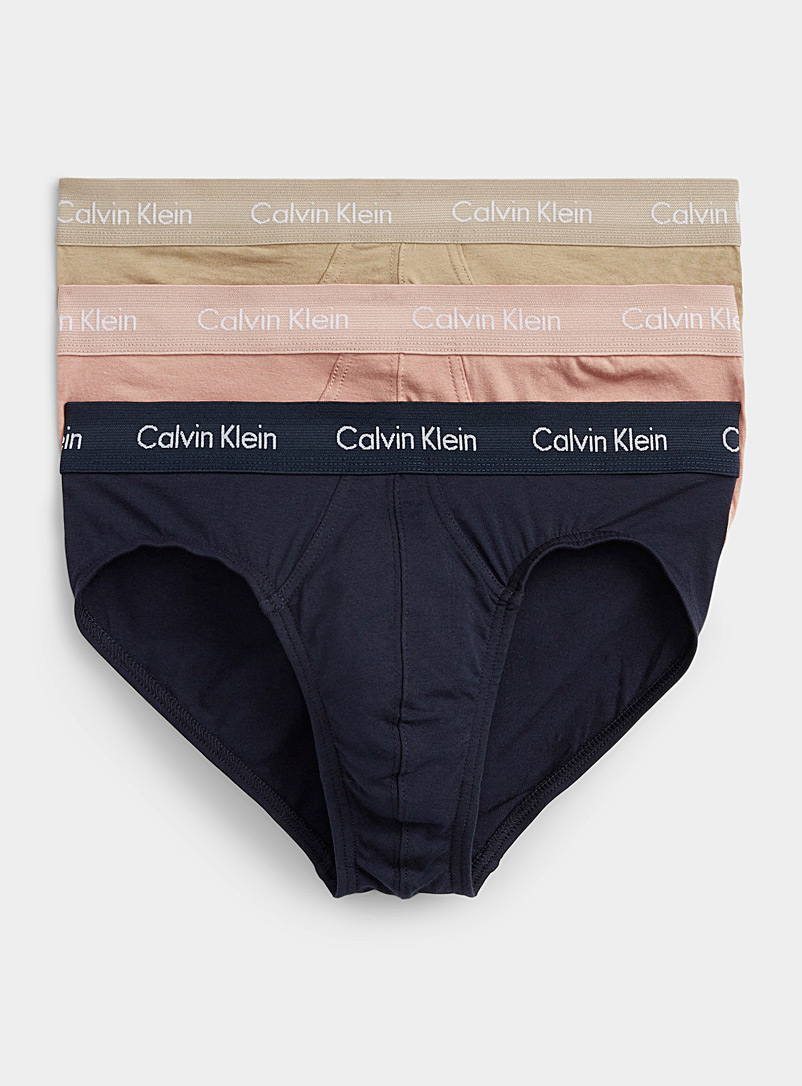 Calvin Klein: Les slips couleurs naturelles Emballage de 3 Bleu à motifs pour homme