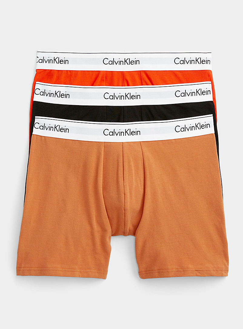 Calvin Klein: Les boxeurs longs coton extensible bande logo Emballage de 3 Brun à motifs pour homme