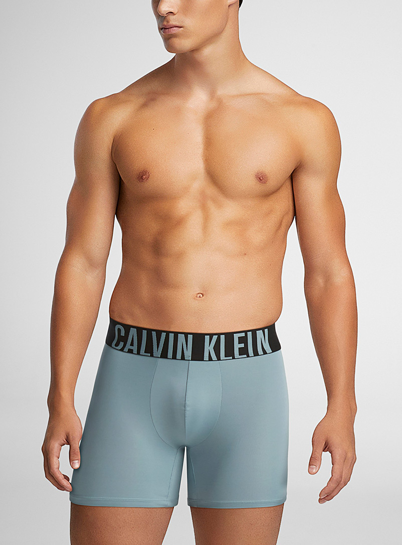 Calvin Klein: Le boxeur long Intense Micro uni Bleu à motifs pour homme