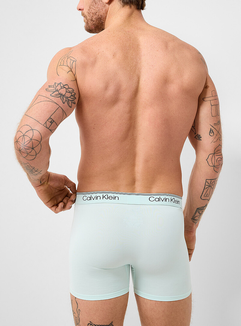 Calvin Klein: Les boxeurs longs extensibles noir/gris/menthe 6 po Polyester Emballage de 3 Noir &agrave; motifs pour homme