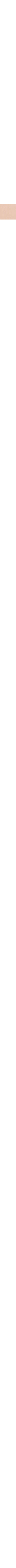 Beige - Grège