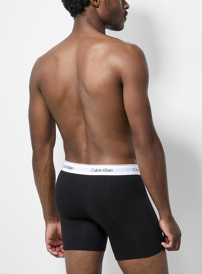 6" neutral boxer briefs Icon Cotton Stretch 3-pack product image 3