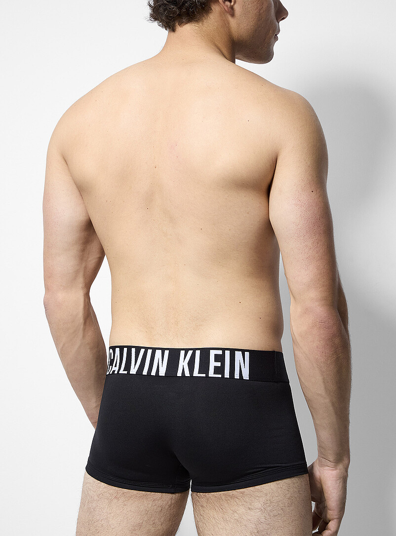 2" stretch trunks Intense Power 3-pack product image 3