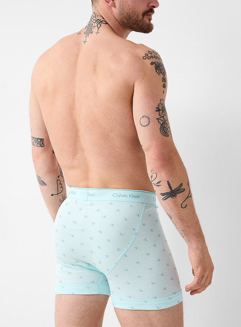 5" beige/blue/teal boxer briefs Cotton 3-pack product image 3