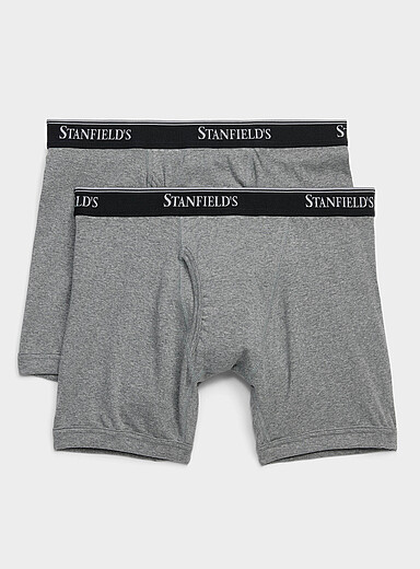 Stanfield's Charcoal 6" ultra-comfortable solid boxer briefs Flex 2-pack for men