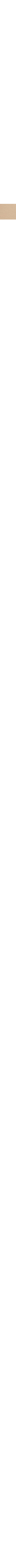 Beige - Grège