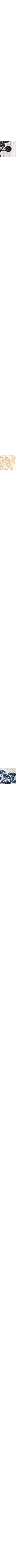 Noir à motifs