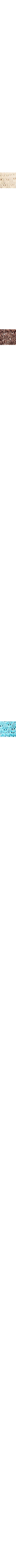 Blanc cassé