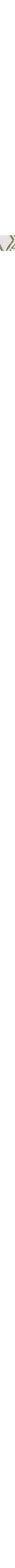 Écru à motifs
