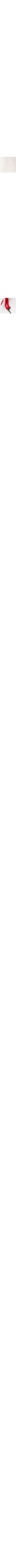 Blanc à motif