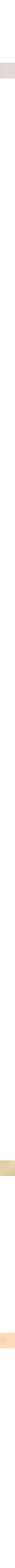Pêche