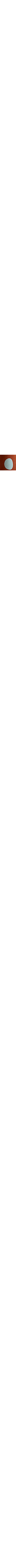 Brun à motifs