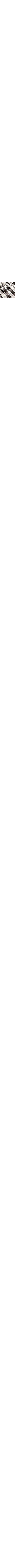 Blanc et noir