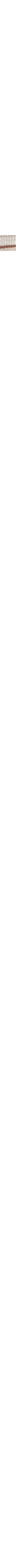 Patterned Ecru