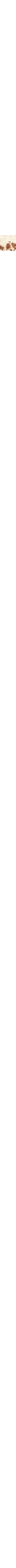 Écru à motifs