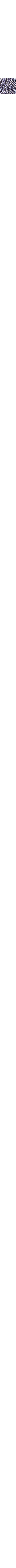Slate Grey