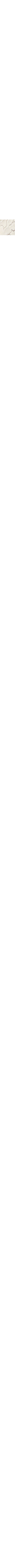 Ecru/Linen