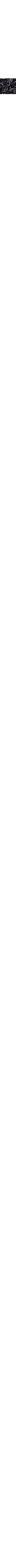 Slate Grey