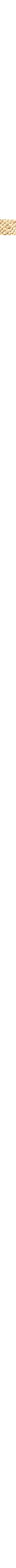 Ecru/Linen