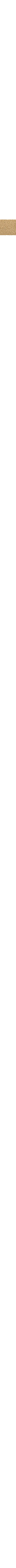 Ecru/Linen