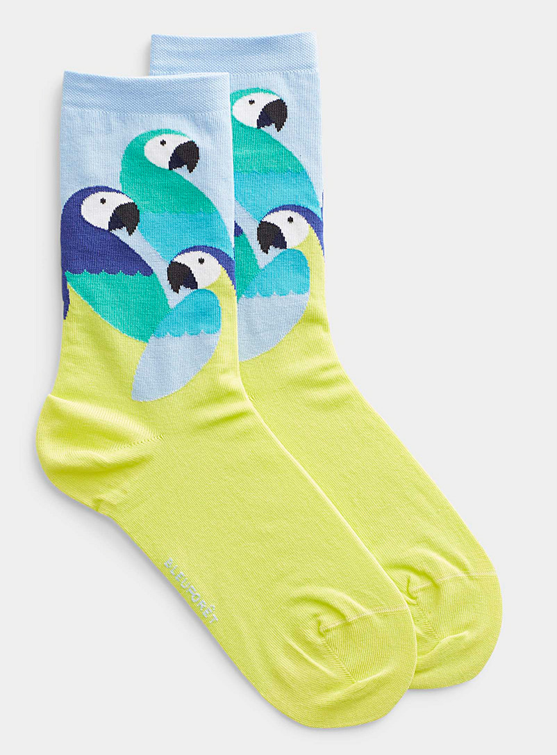 Bleuforêt Baby Blue Colourful parrot socks for women