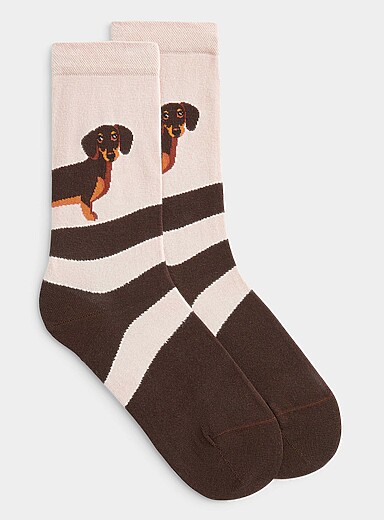 La chaussette coton peign&eacute; teckel