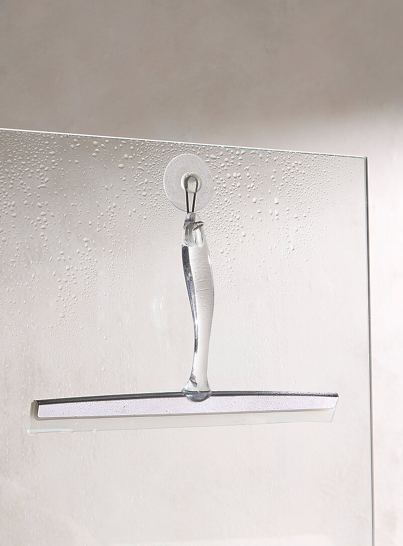 Stainless steel cleaning squeegee product image (primary)