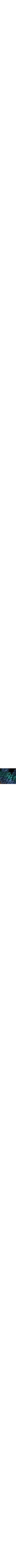 Bleu à motifs