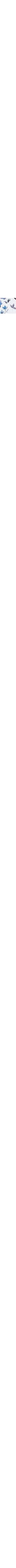 Blanc à motifs