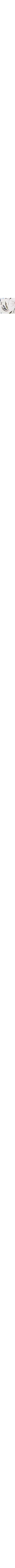 Blanc à motifs
