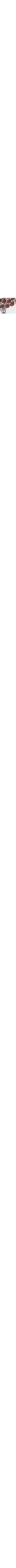 Blanc à motifs