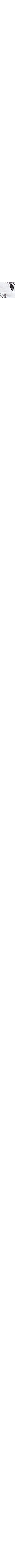 Blanc et noir