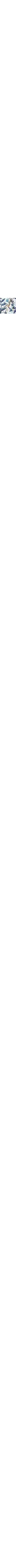 Blanc à motifs