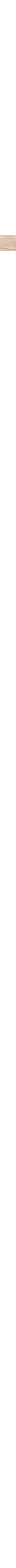 Écru à motifs