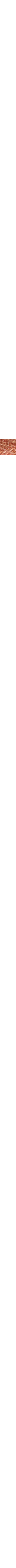 Cuivre - Rouille