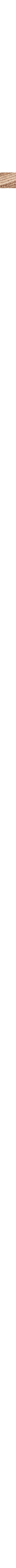 Blanc cassé