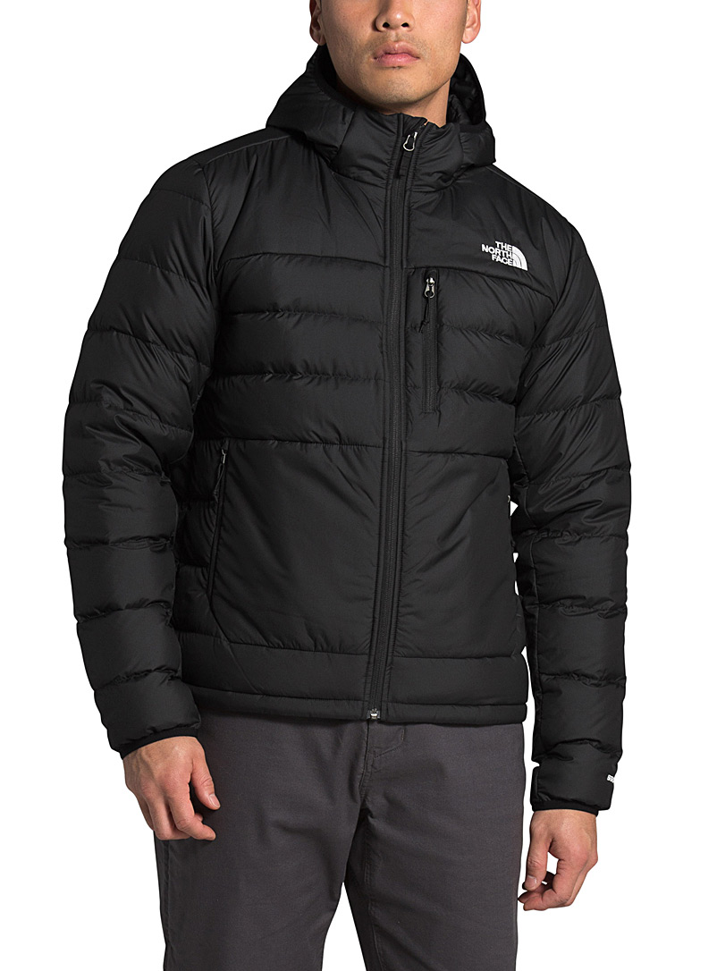 the north face hooded puffer jacket