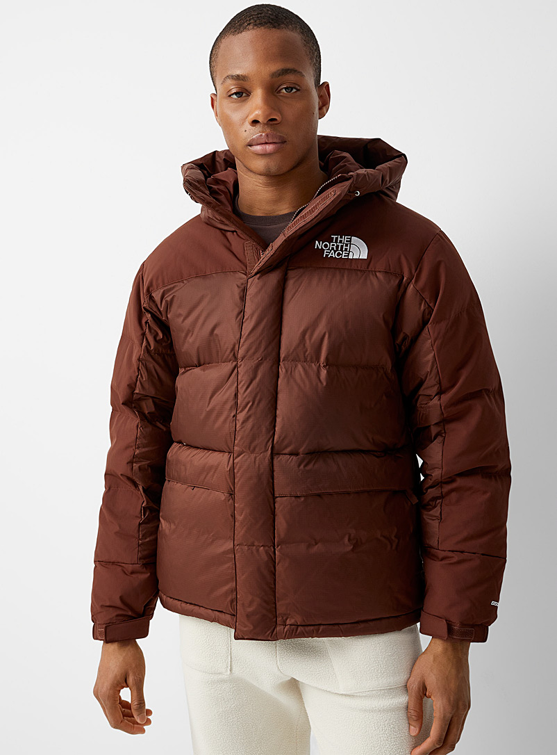 The North Face Brown HMLYN quilted parka for men
