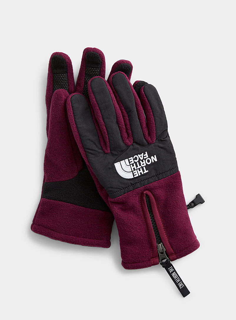 The North Face Mauve Denali ETIP gloves for men