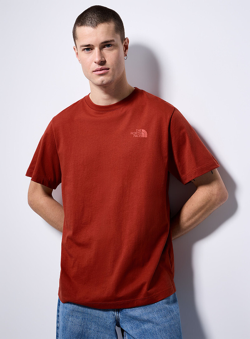 The North Face Brown Mountain T-shirt for men