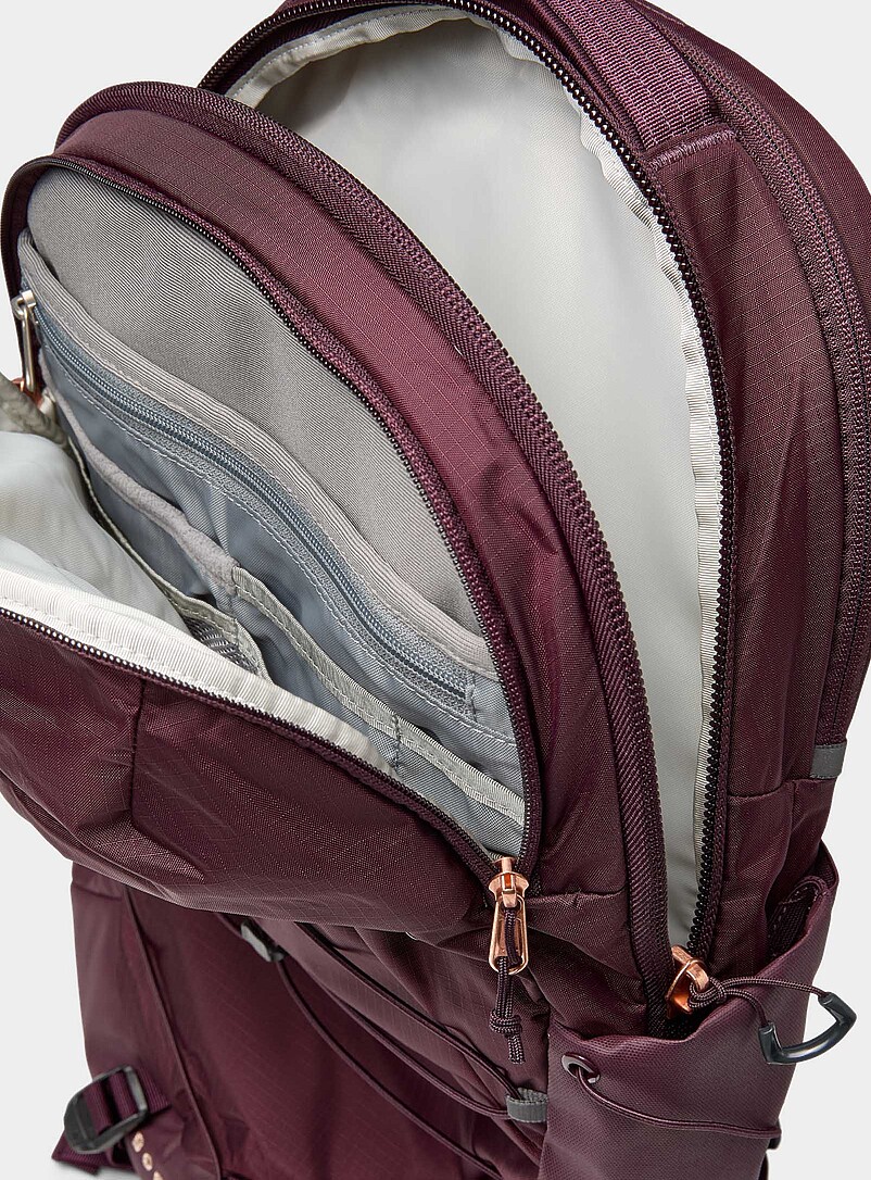The North Face Taupe Borealis Luxe backpack for women