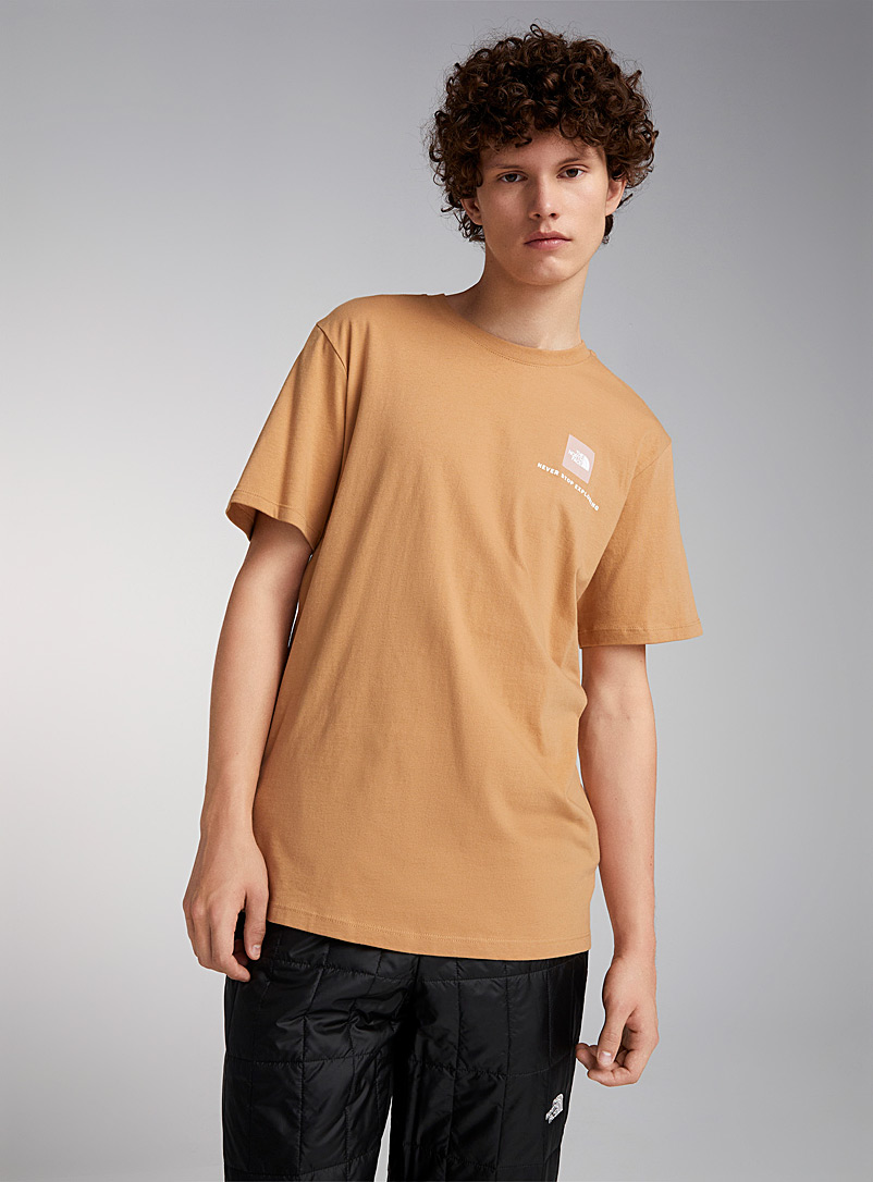 The North Face Fawn Box logo T-shirt for men