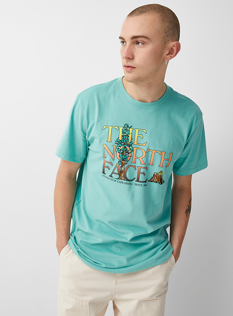The North Face Teal Forest park T-shirt for men
