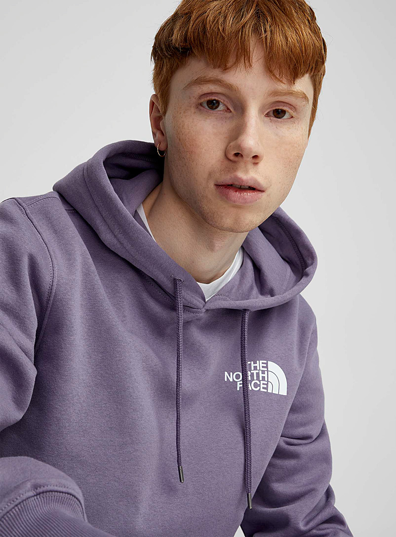The North Face Grey Box NSE hoodie for men
