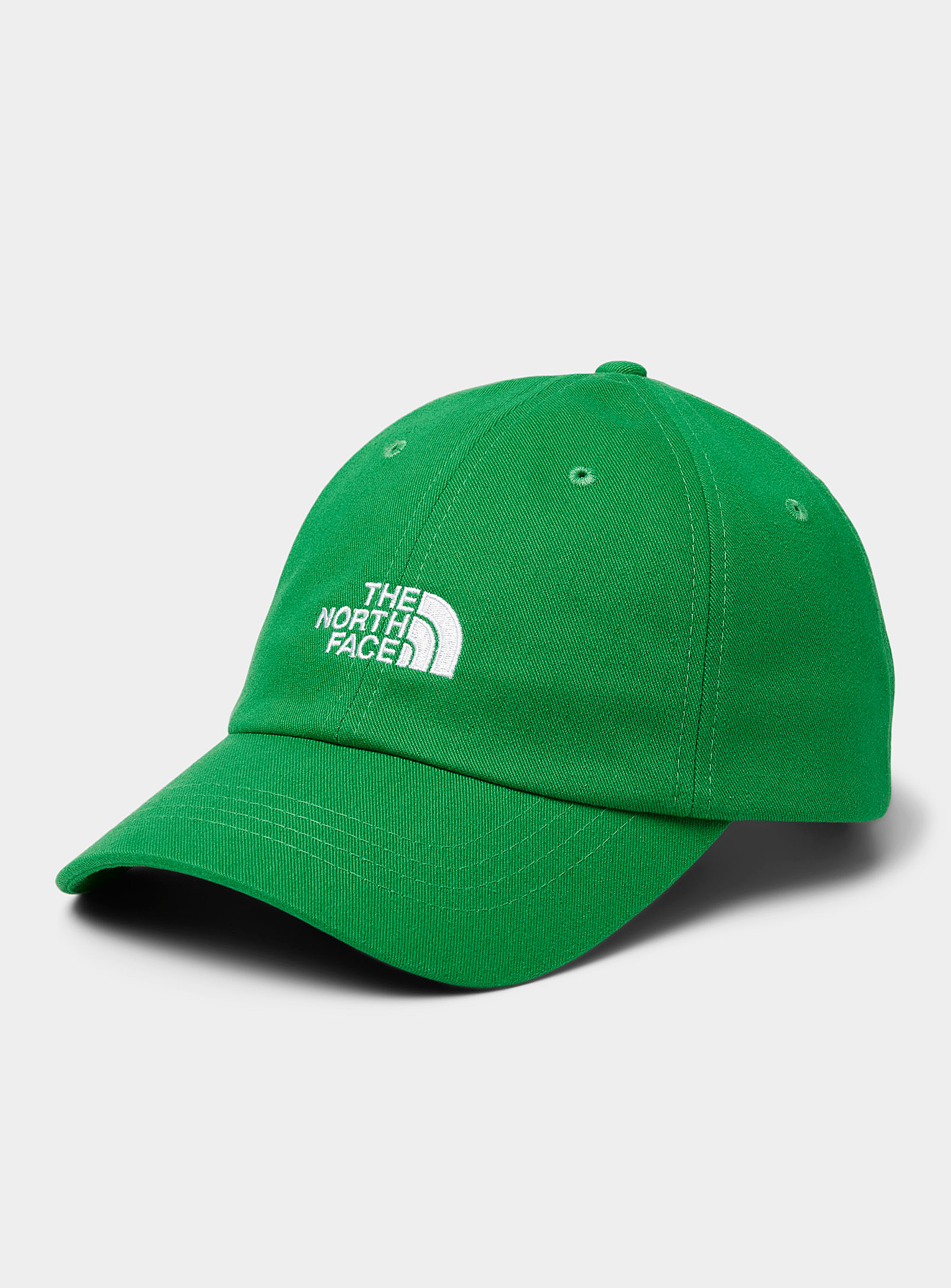 The North Face Neutral Tone Signature Cap In Green
