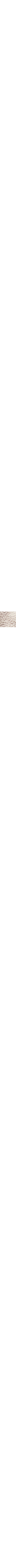 Vert à motifs