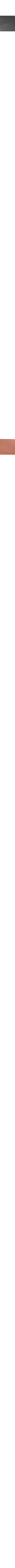 Cuivre - Rouille