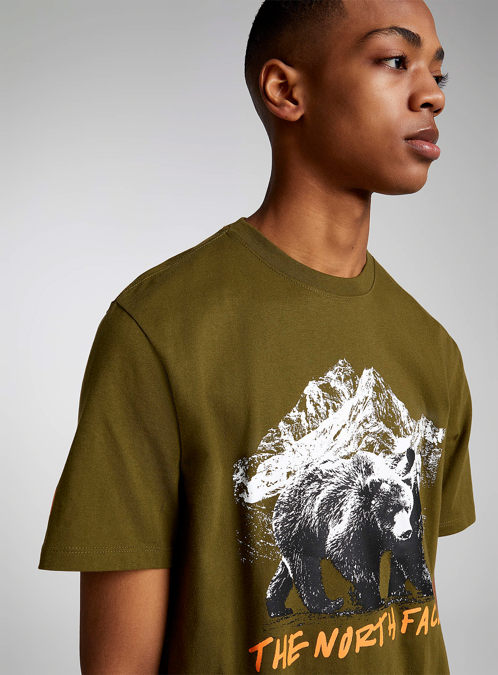 The North Face Grizzly Mountain T-shirt In Mossy Green