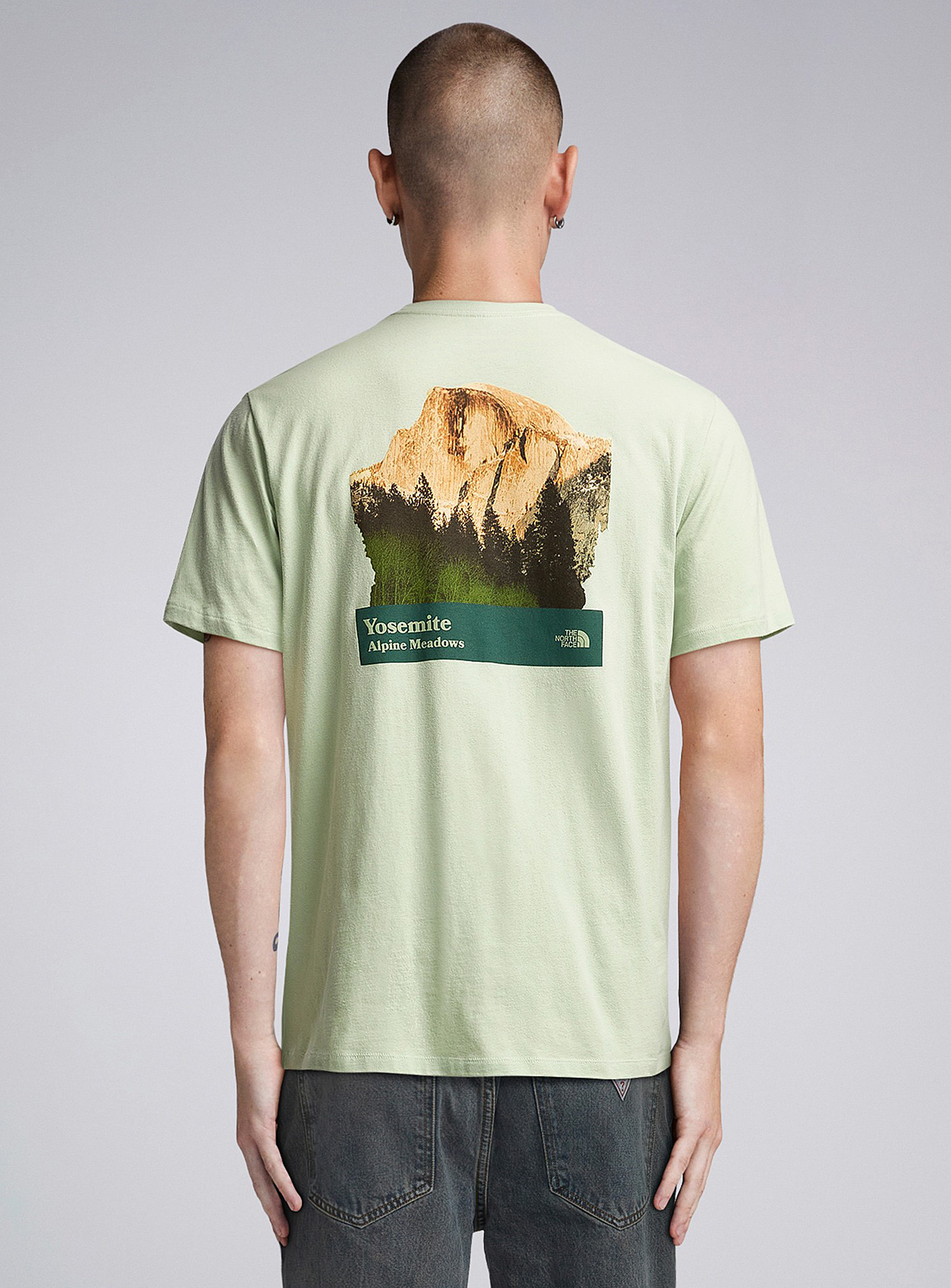 The North Face Places We Love T-shirt In Mint/pistachio Green